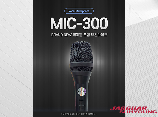 MIC-300